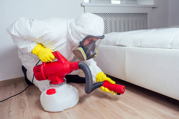 Best Mosquito Control Services  in Pimmit Hills, VA