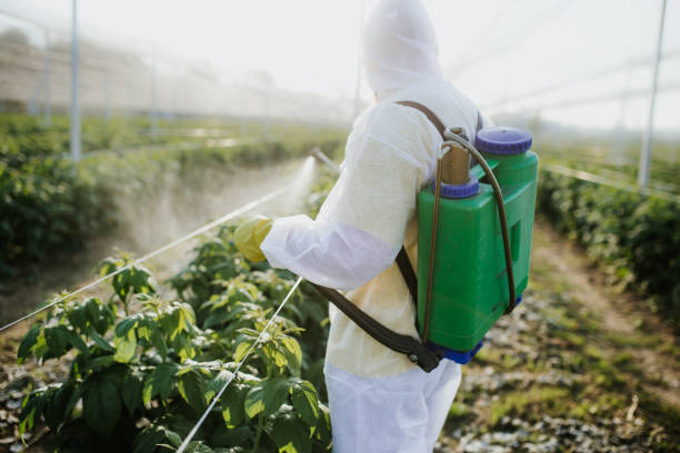 Best Cockroach Control Services  in Pimmit Hills, VA